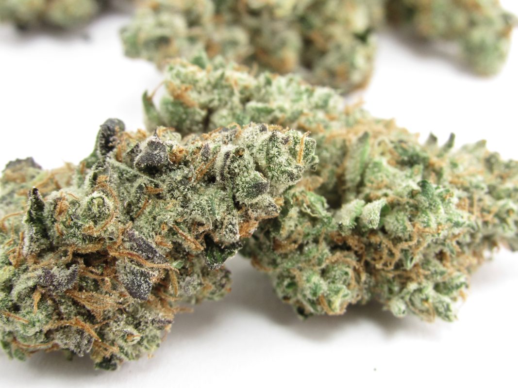 Buy 7-Way Marijuana Strain in Europe