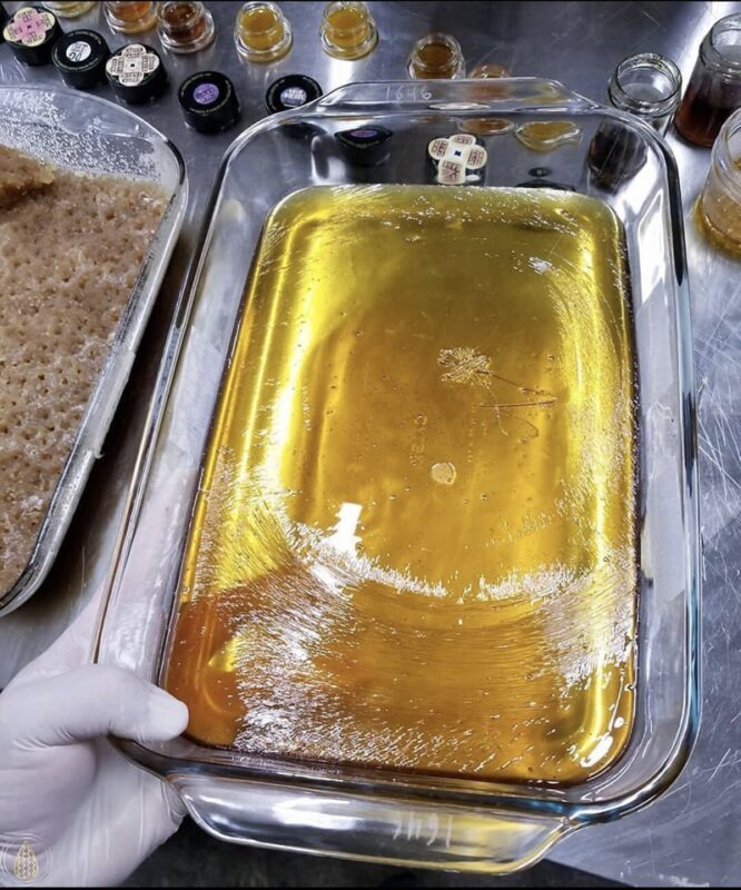 Buy Girl Scout Cookies THC Cannabis Oil in Europe