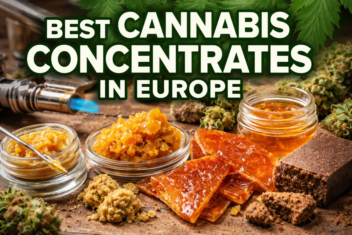 Discover the best cannabis concentrates in Europe. Explore top THC extracts like hash, wax, shatter, and live resin and find the right product for you.